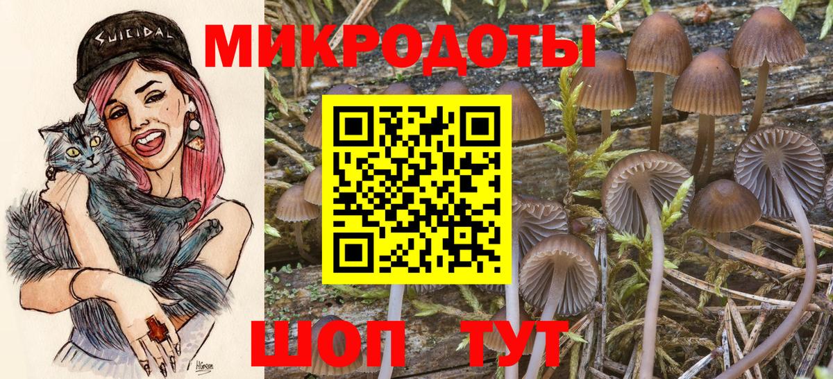 купить наркотики цена  Псилоцибиновые грибы MAGIC MUSHROOMS  Вход с VPN  Шадринск 
